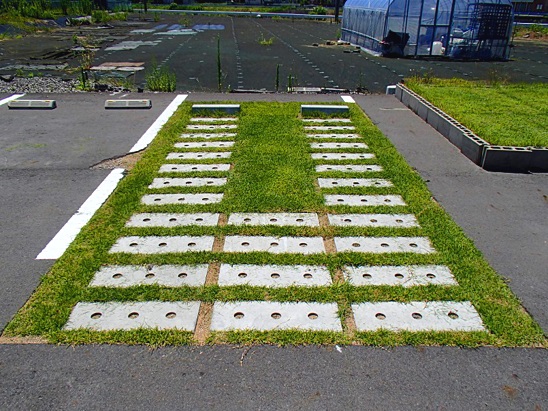 02 ʩƺʵ10º.jpg